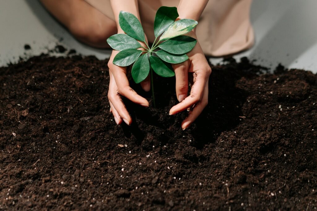 How to Protect Our Environment